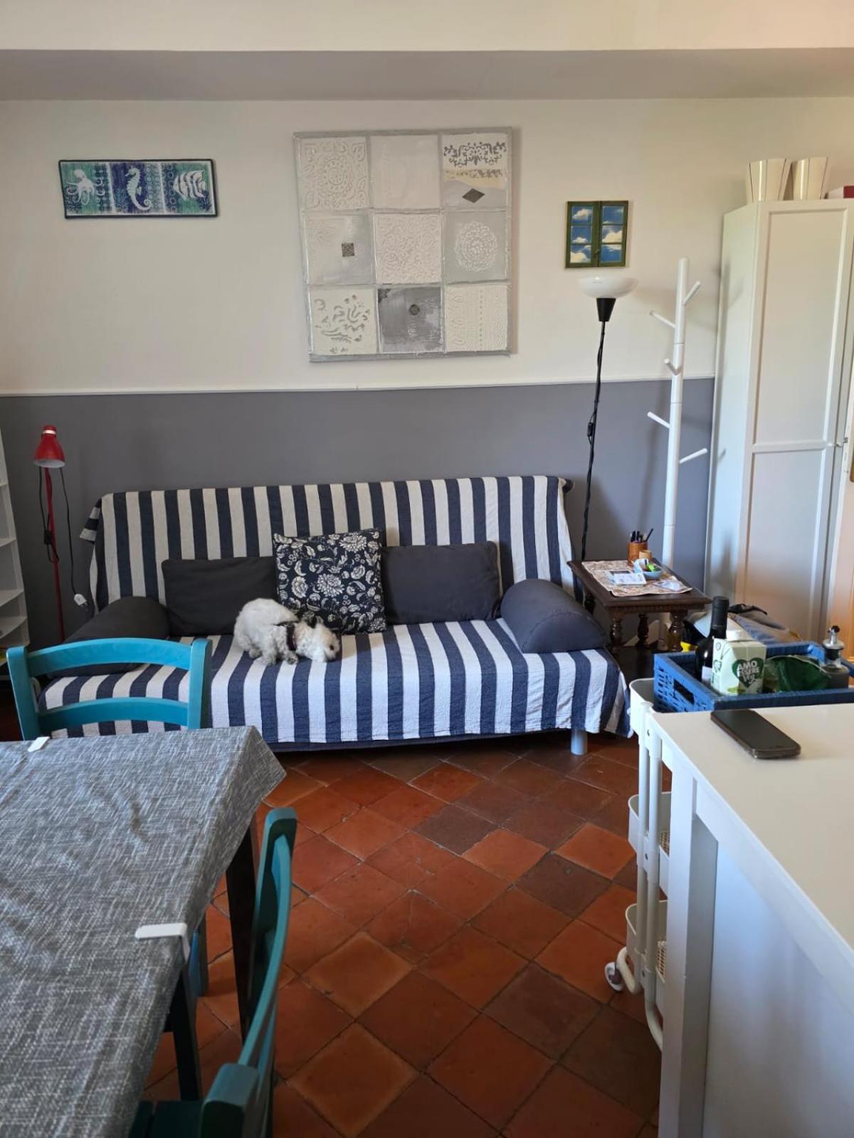 Apartmán The Shell - New Interior Look But Same Old Charme 200Mt From The Sea With Garden And Parking Nearby Imperia Exteriér fotografie