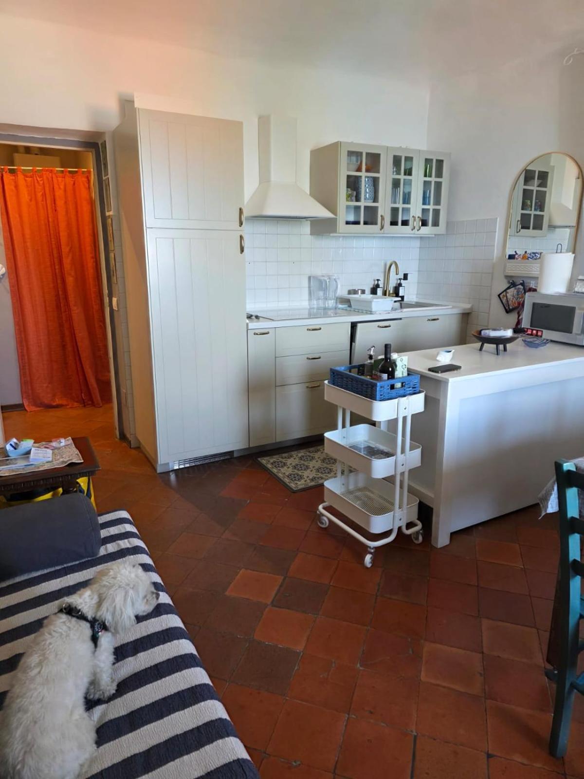 Apartmán The Shell - New Interior Look But Same Old Charme 200Mt From The Sea With Garden And Parking Nearby Imperia Exteriér fotografie